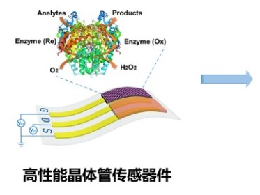 biosensor